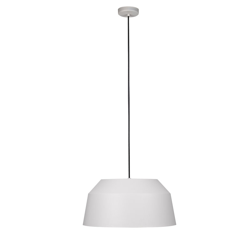 Luminaire suspendu en dome à 1 lumière