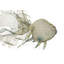 Abstract Figurines & Sculptures-103100086-103100089
