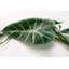 180cm Faux Plant