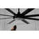 Osaze Ceiling Fan with LED Lights