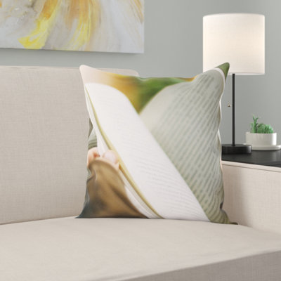 Books Throw Pillow