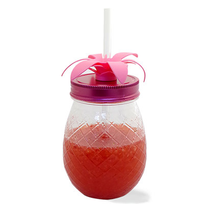 Pot de mason 20 oz. en plastique Gustavo