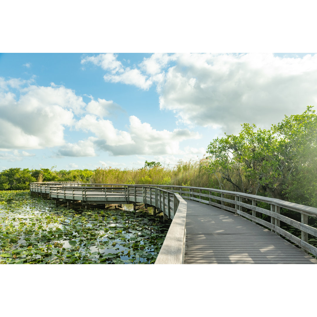 Anihinga Trail Boardwalk über Wasser im Everglades National Park