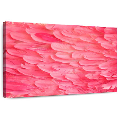 Plumes de flamant rose Crowle
