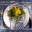 Avignon 100% Cotton Square Napkins-2010090121