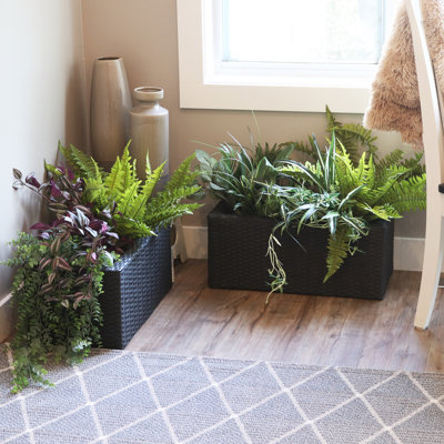 Sashe Rectangle Polyrattan 2-Section Indoor Planter 2-Count - Black