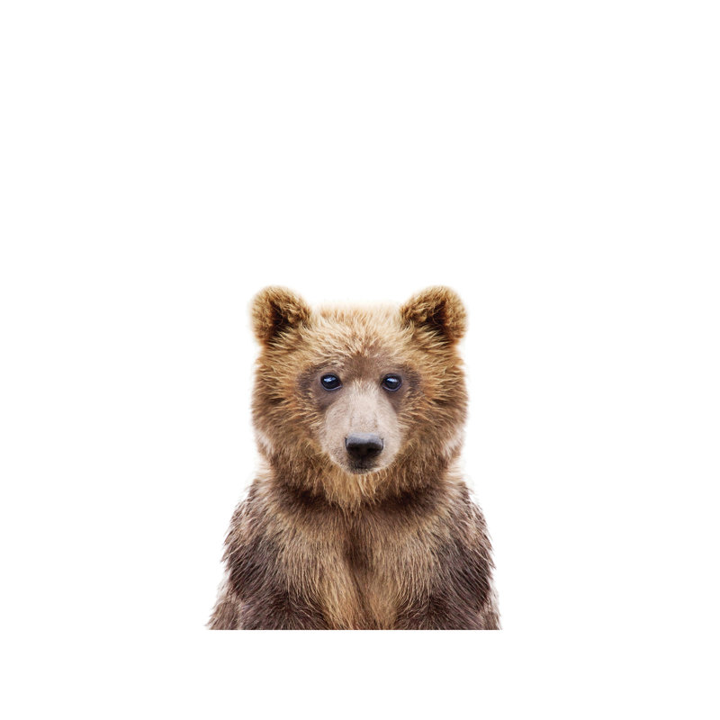 Baby Bear - Wrapped Canvas Print, 101.6 cm H x 66.04 cm W x 3.175 cm D