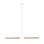 Trax 1 - Light LED Pendant