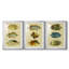 Trio of Tropical Fish I  -Custom Framed  Premium Print W Matt - 3 Pieces-167921956-167921958