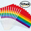Petit drapeau arc-en-ciel à main avec petits drapeaux de fierté LGBT 5 x 8 po