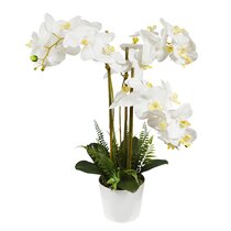 Wayfair  White Winter Faux Flowers You'll Love in 2024