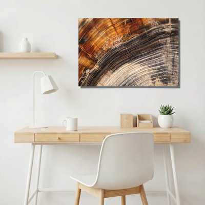 Brown and Black Tree Ring Cross Section Wood Grain Texture Canvas Wall Art
