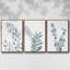 «Blue Botanical Wash I», ensemble de 3 cadres flottants sur toile-97759157-97759158