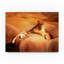 «Lioness on a Rock 2» par Ata Alishahi - reproduction d'art sur toile-31977404