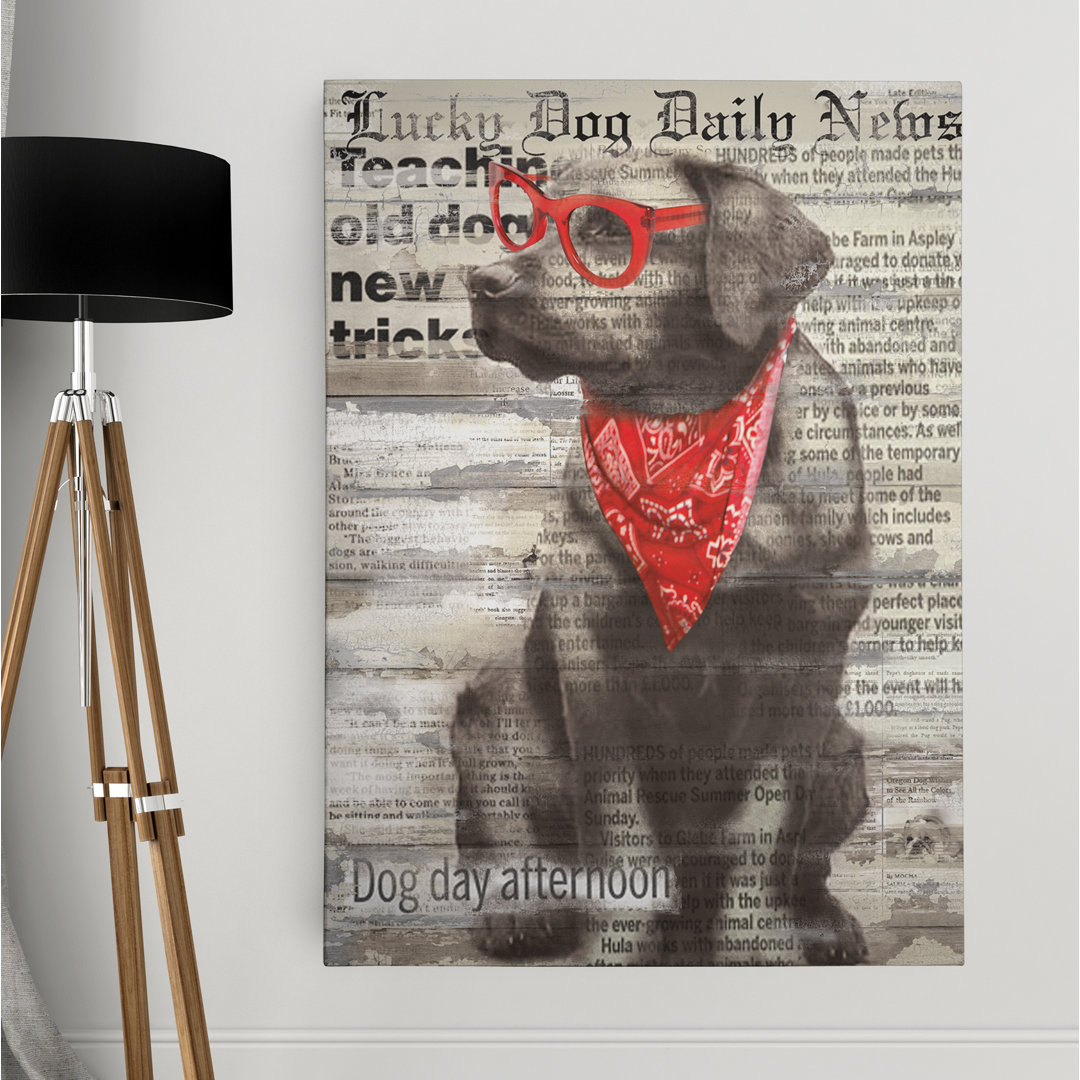 " Lucky Dog " by Carol Robinson Wexford Home 