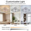 LED Flush Mount