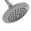 Exhale Rain Adjustable Shower Head 1.8 GPM GPM