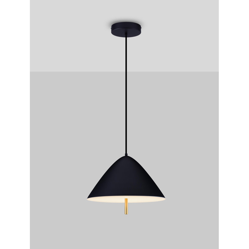 - Light Pendant