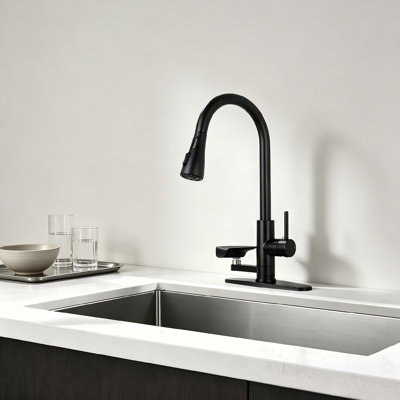 Robinet de cuisine noir mat moderne avec affichage DEL de la température et fonction de lavage des tasses; Conception coulissante à arc élevé avec trois modes de débit d'eau.