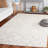 Grayci Hand Tufted Wool Cotton Pet Damask Rug in Ivory/Gray-1707868104