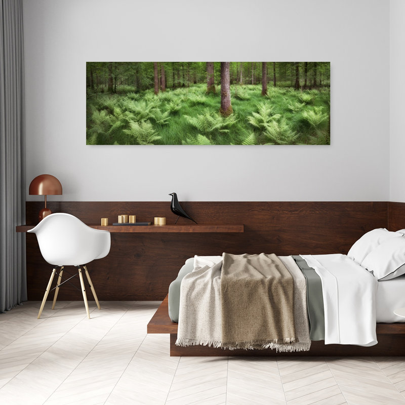 Art mural de forêt fougère sereine, 20" H x 60" W