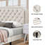 Lit plateforme à bord clouté Ava - Velours beige Qn-Beige-1131993824
