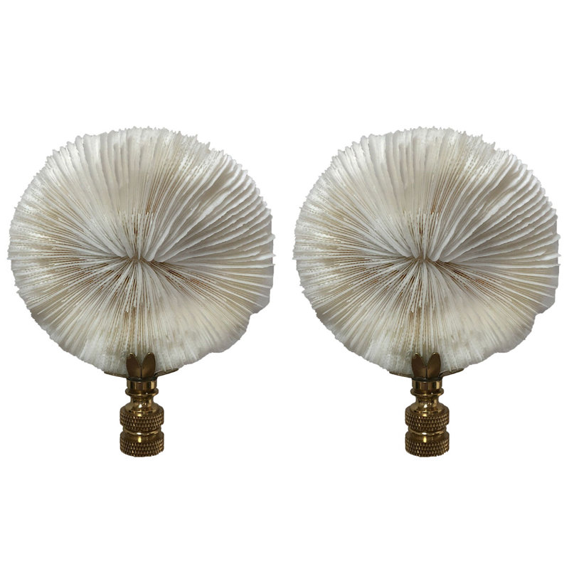 Faiteau de lampe corail champignon naturel, Laiton poli