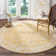 Aquene Performance Oriental Rug