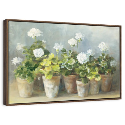 White Geraniums Crop