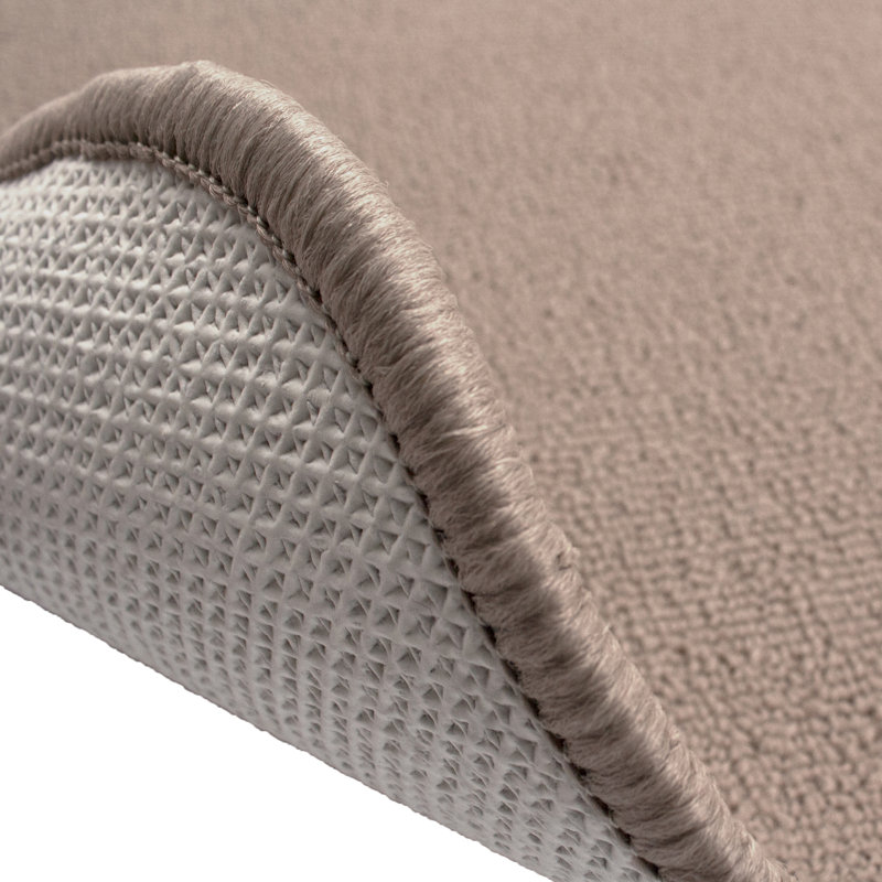 RITZ Accent Rug, 18" W x 30" L, Beige