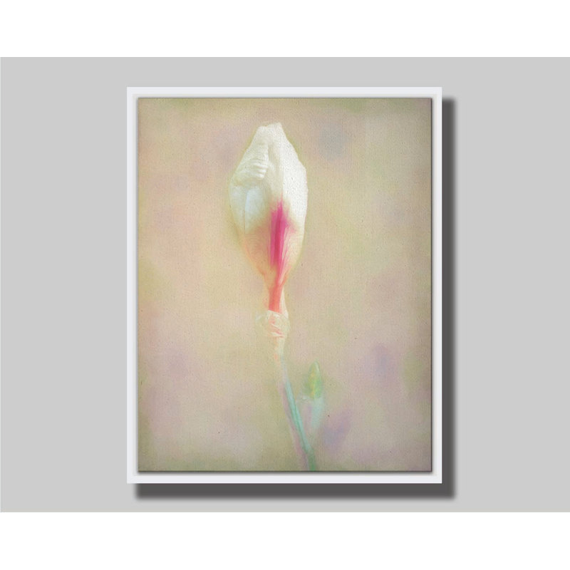 Spring Blossom par Hal Halli. Estampe numérique, Cadre flottant sans passe-partout, H 36,5 po x l 48,5 po, Blanc