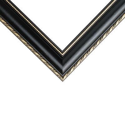 Rinalda White/Gold Solid Wood Picture Frame with Mat