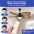 Akam 52'' Ceiling Fan with LED Lights, and 5 Tropical Blades-1334691311