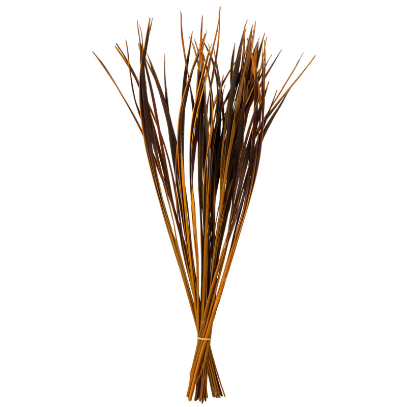 Primrue 28" Splinter Grass, 11 oz Bundle, Dried, Aspen Gold