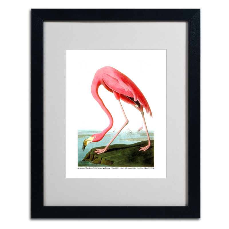 « american flamant rose », reproduction d’art sur toile encadrée, H 14 po x l 11 po x P 0,5 po, Noir