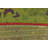 Merrimac Washable Floral Indoor / Outdoor Rug-1528071966