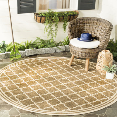 Kinzer Geometric Hand Woven Indoor / Outdoor Area Rug