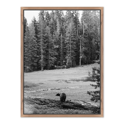 Don't Feed the Bears by Wesley and Emma Teague