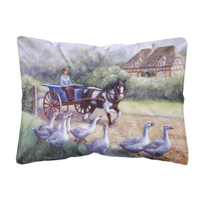  Coussin décoratif intérieur / extérieur en oies