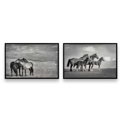 Ensemble de 2 impressions sur toile Free Spirits