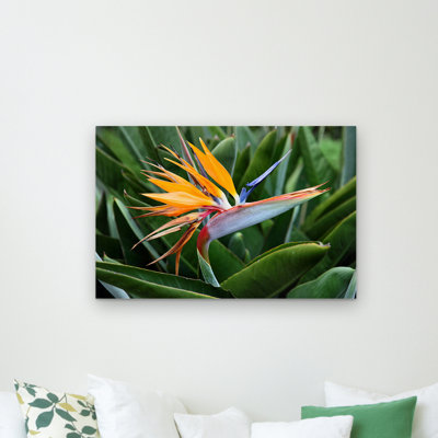Fetzer Modern & Contemporary