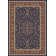 Oriental Indoor Rug