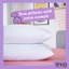 Snug Fantasctically Firm Pillows 2 Pack