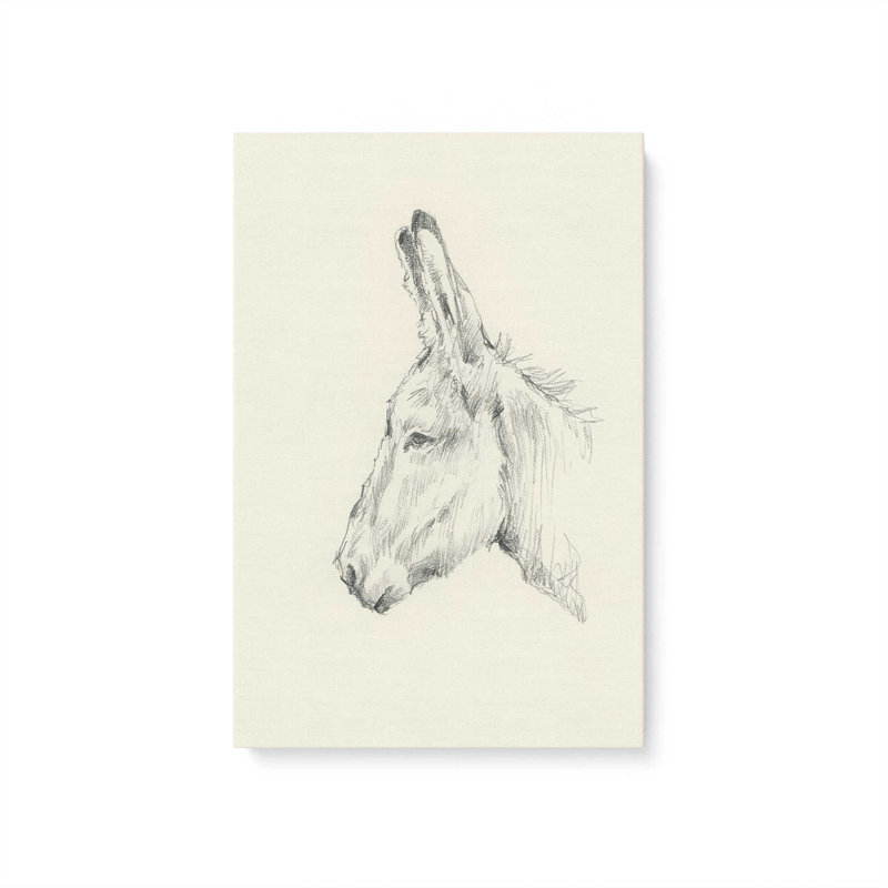 «Donkey Study II» par Ethan Harper, reproduction d'art sur toile, H 48 po x l 36 po, Toile tendue, Sans objet