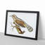 Wryneck Woodpecker by George Shaw - Framed Print-55641441-55641444