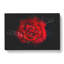 Red Rose In The Shadows - Wrapped Canvas Print-56648314