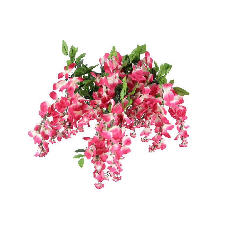 Tiges de glycine, Magenta