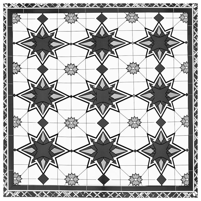Coussins décoratifs noirs et blancs à motif d'étoile, 18 x 18 pouces