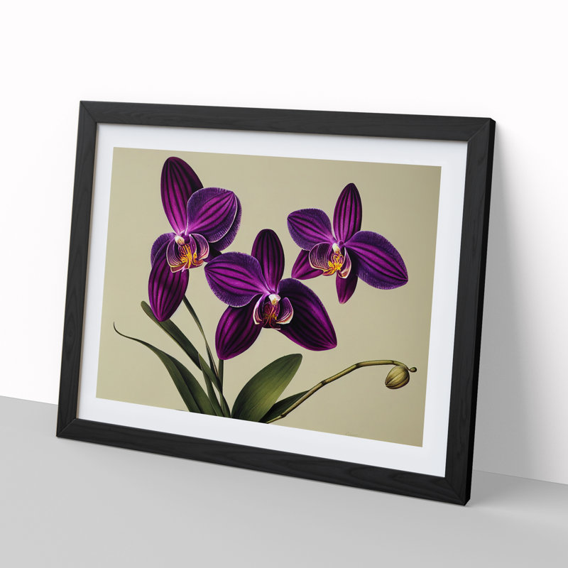Elegant Orchid Flowers - Single Picture Frame Painting, Black , 46cm H x 64cm W x 2cm D