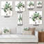 Wall Clock-344537506